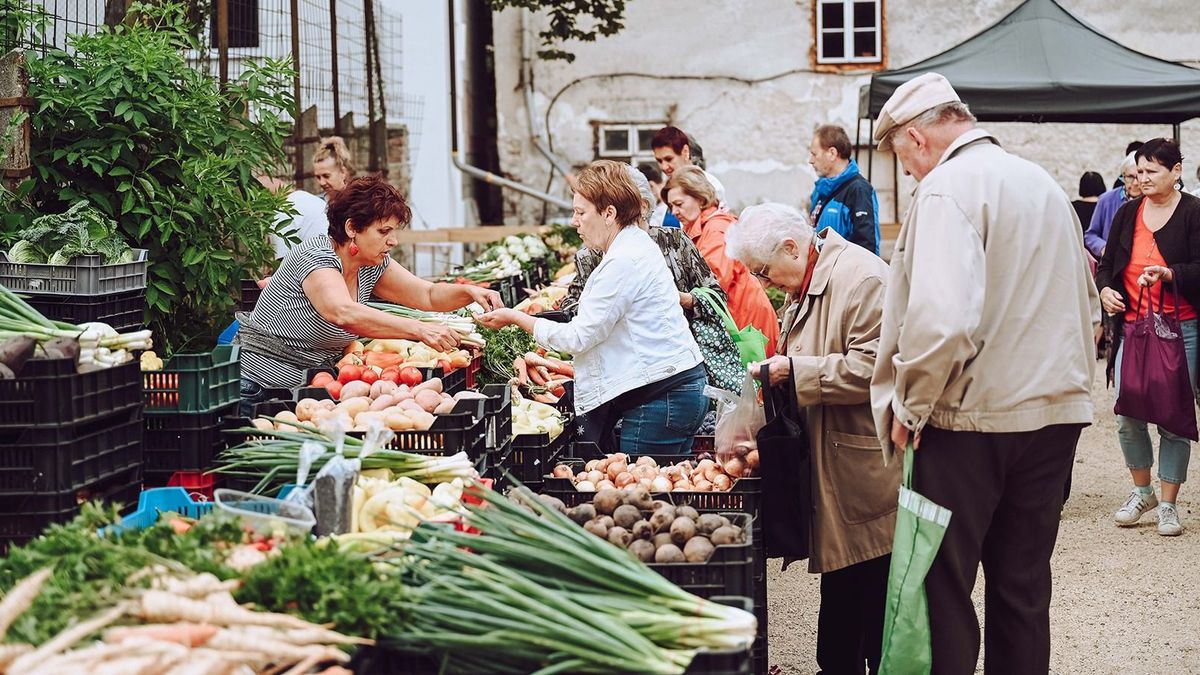 Bolti egyszeregy: hogyan hat a kiskereskedelem az árakra