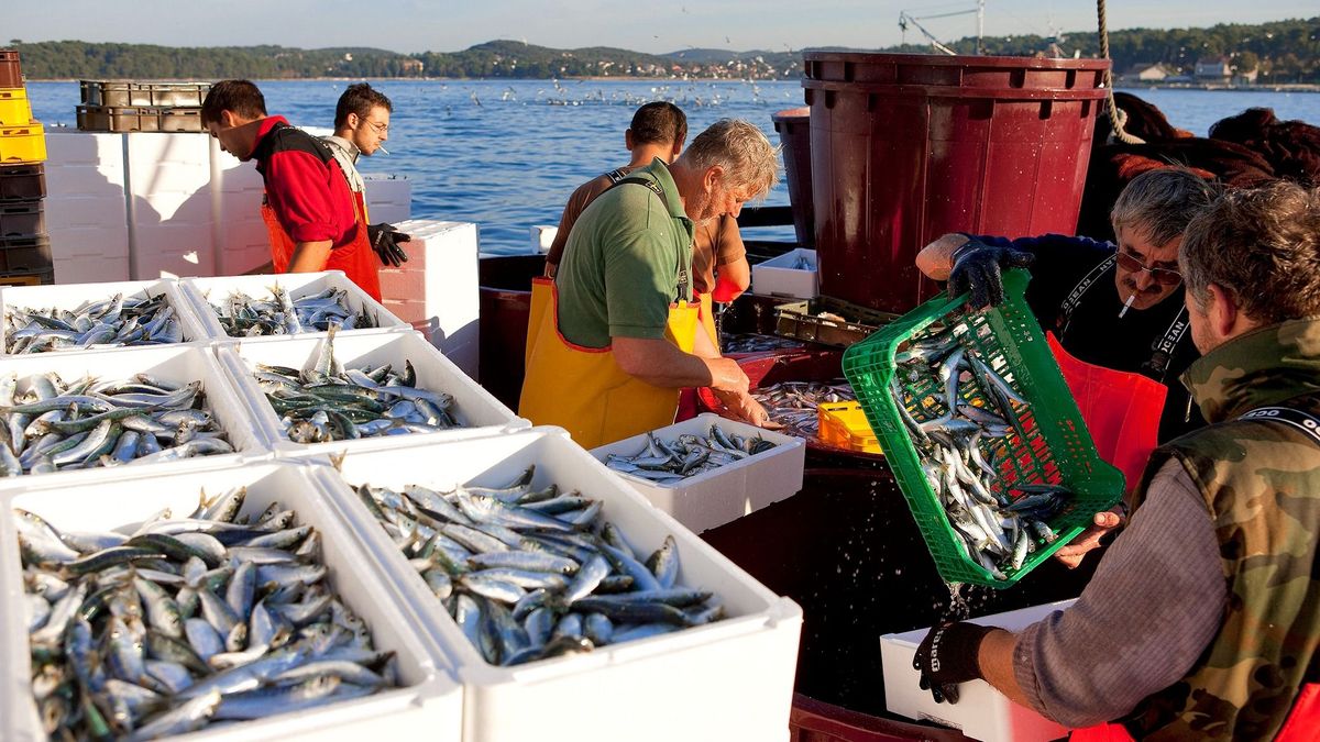 Protestálnak az adriai halászok a szigorú korlátozások bevezetése ellen