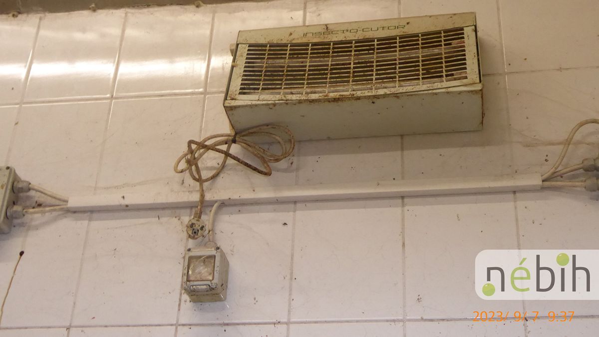 Horrorfilmbe illő húsfeldolgozót záratott be a Nébih