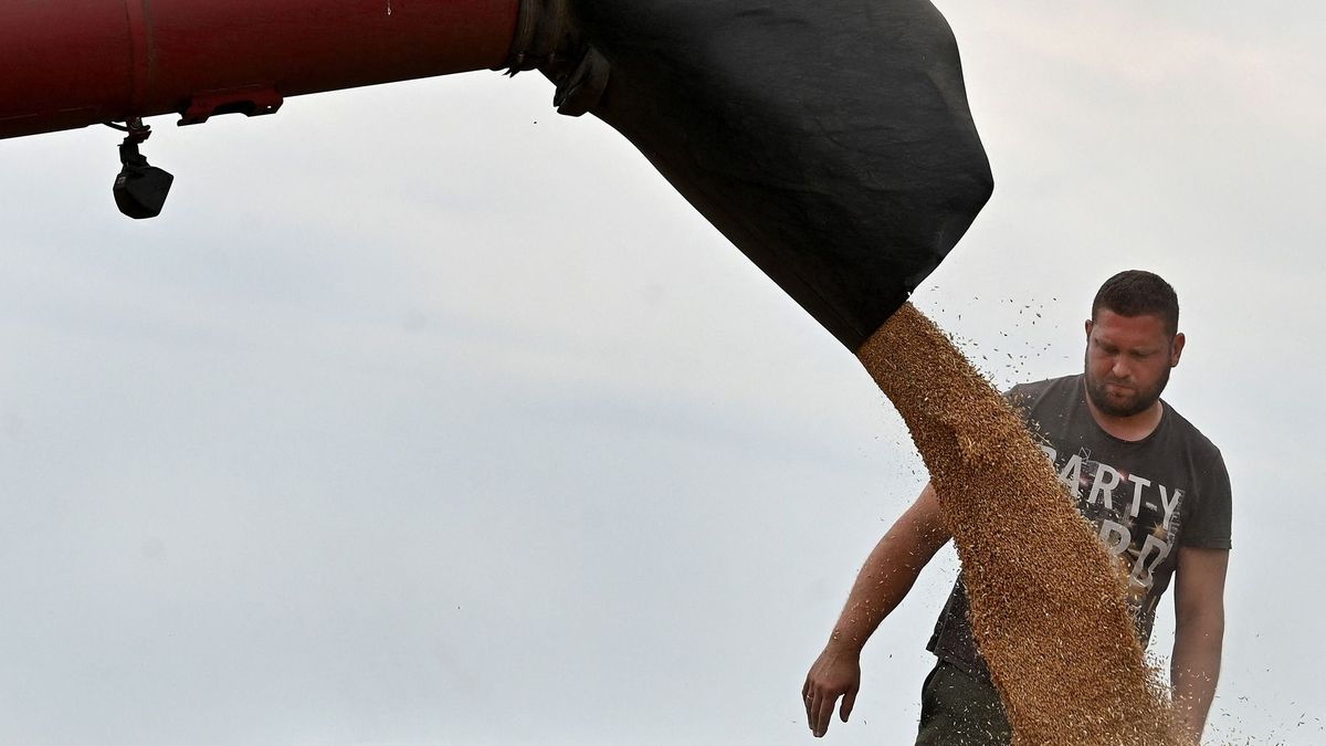 Ukrajna már a WTO elé citálná Magyarországot a gabona miatt