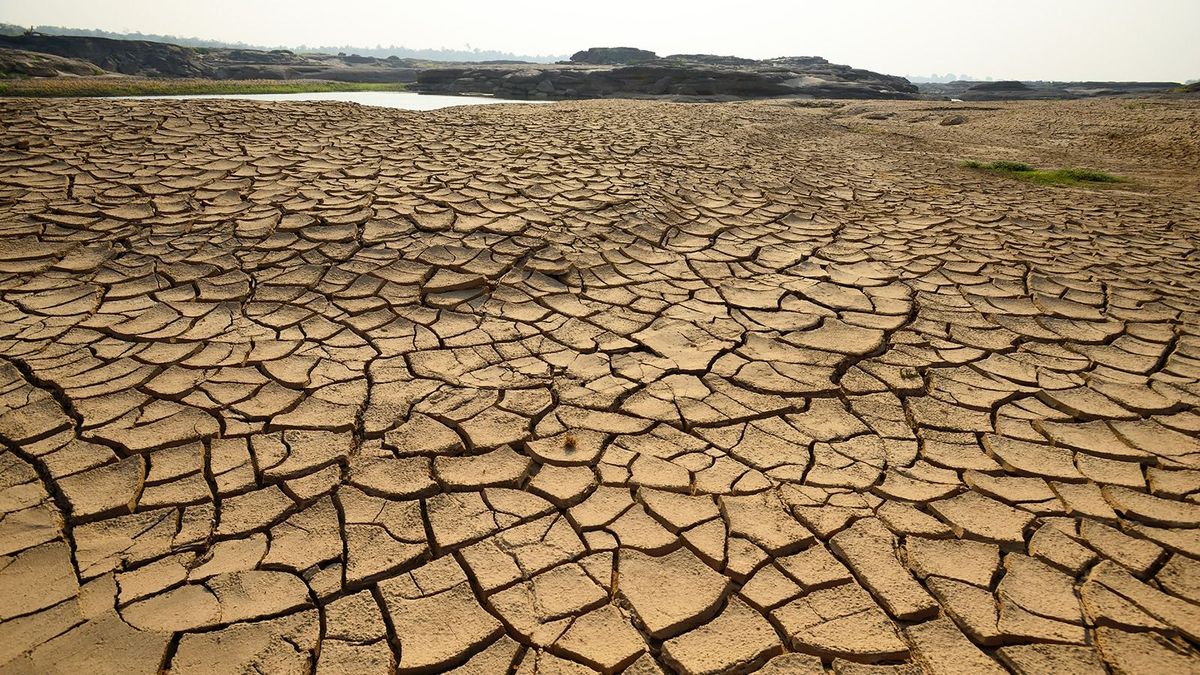 Dry,Cracks,In,The,Land,,Serious,Water,Shortages