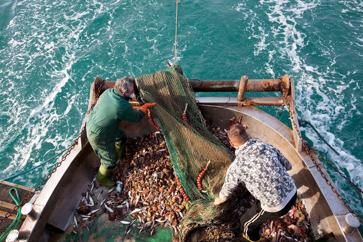 Trawler in the north Adriatic sea, Chioggia, Venice province, Italy