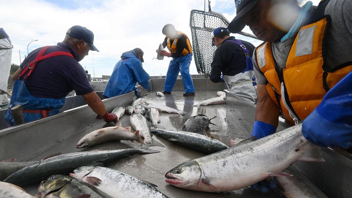 A japán halászokon csattan az ostor Fukusimáért 