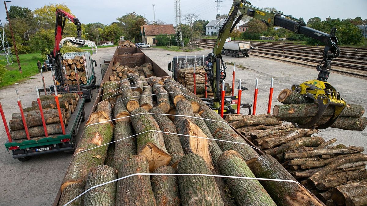 A kisebb települések idén is fával és szénnel fűtenek majd