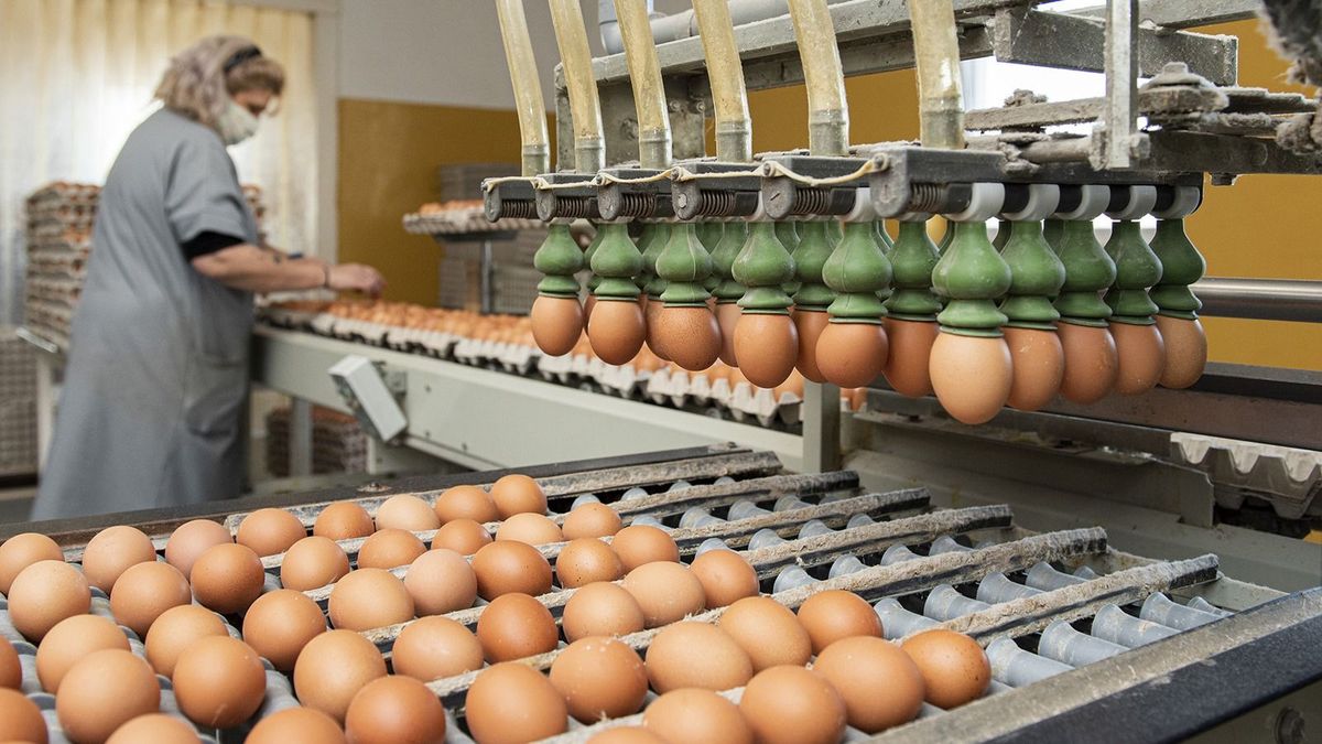 Már főleg a nők intézik a pénzügyeket a mezőgazdaságban