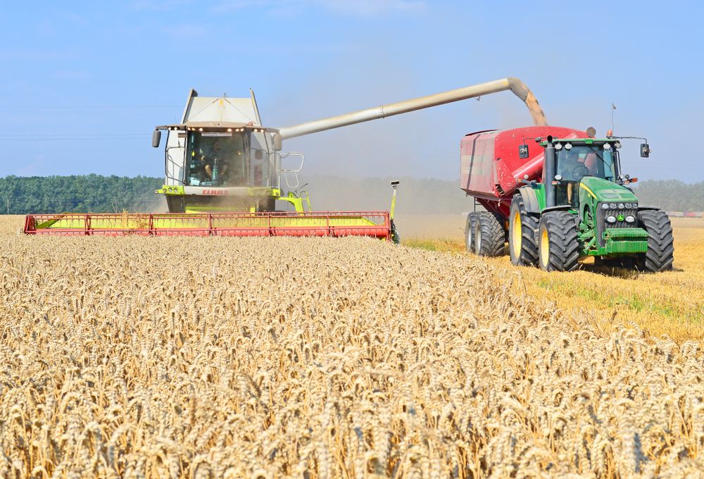 Kalush,,Ukraine,-,July,28,,2016:,Overloading,Grain,Harvester,In