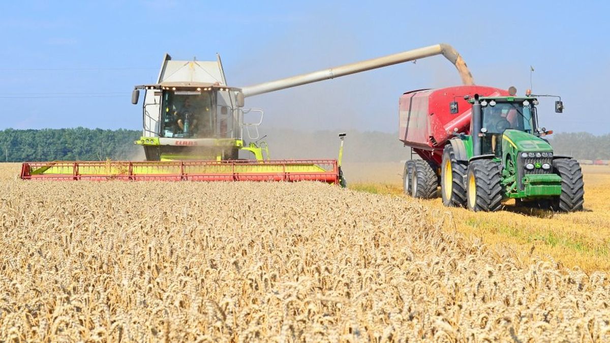 A szlovákokkal megállapodott, a lengyelekkel is tárgyal Ukrajna gabonaügyben