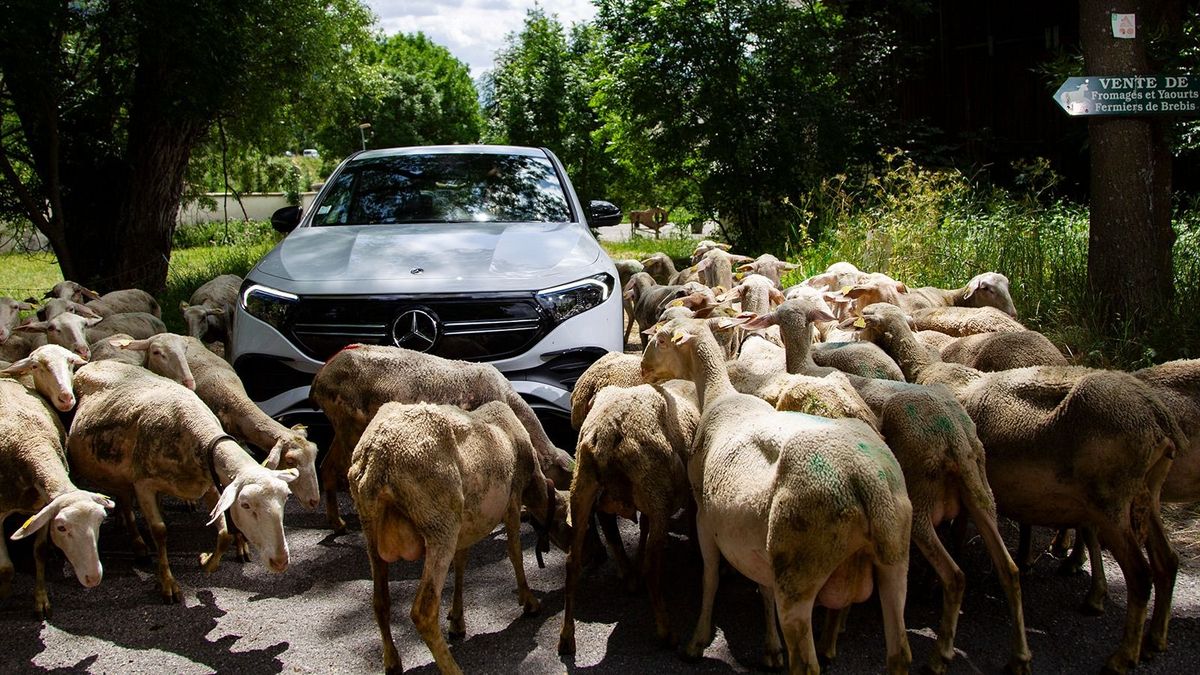 Szárnyal az elektromos autók értékesítése Európában