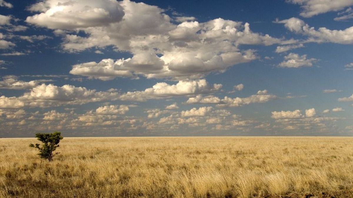 Már tízezer négyzetkilométert taroltak le az ausztráliai bozóttüzek