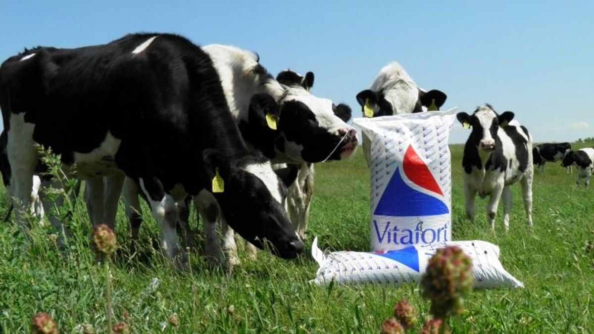 Hatmilliárdos takarmányüzem épült Dabason