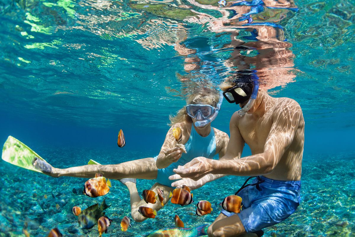 Happy,Family,Vacation.,Young,Couple,In,Snorkeling,Mask,Hold,Hand,