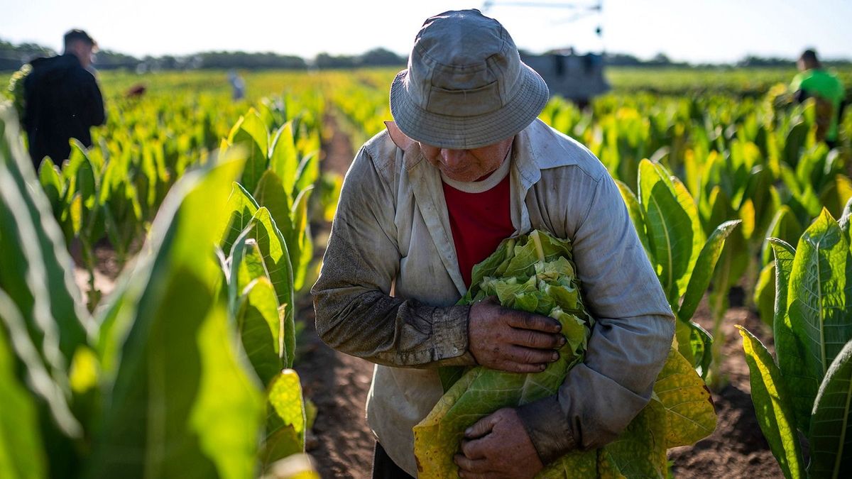 Özönlenek majd a fülöp-szigeteki munkavállalók Magyarországra, de kell-e félnünk tőlük?