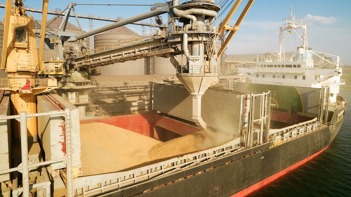 Odessa,,Ukraine,-,August,9,,2021:,Loading,Grain,Into,Holds
ODESSA, UKRAINE - August 9, 2021: Loading grain into holds of sea cargo vessel through an automatic line in seaport from silos of grain storage. Bunkering of dry cargo ship with grain