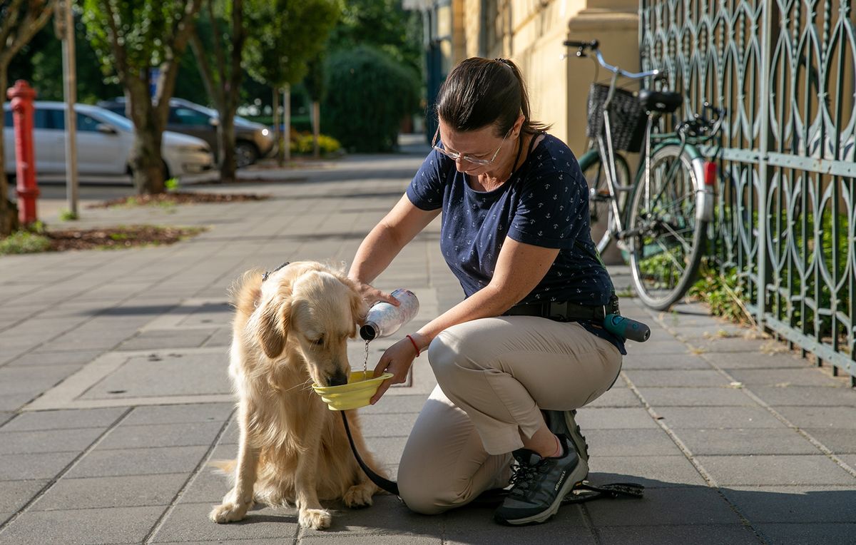 20230822 DebrecenHőség riport.Fotó: Czinege Melinda CZMHajdú-Bihari Napló
20230822 Debrecen

Hőség riport.
Fotó: Czinege Melinda CZM
Hajdú-Bihari Napló