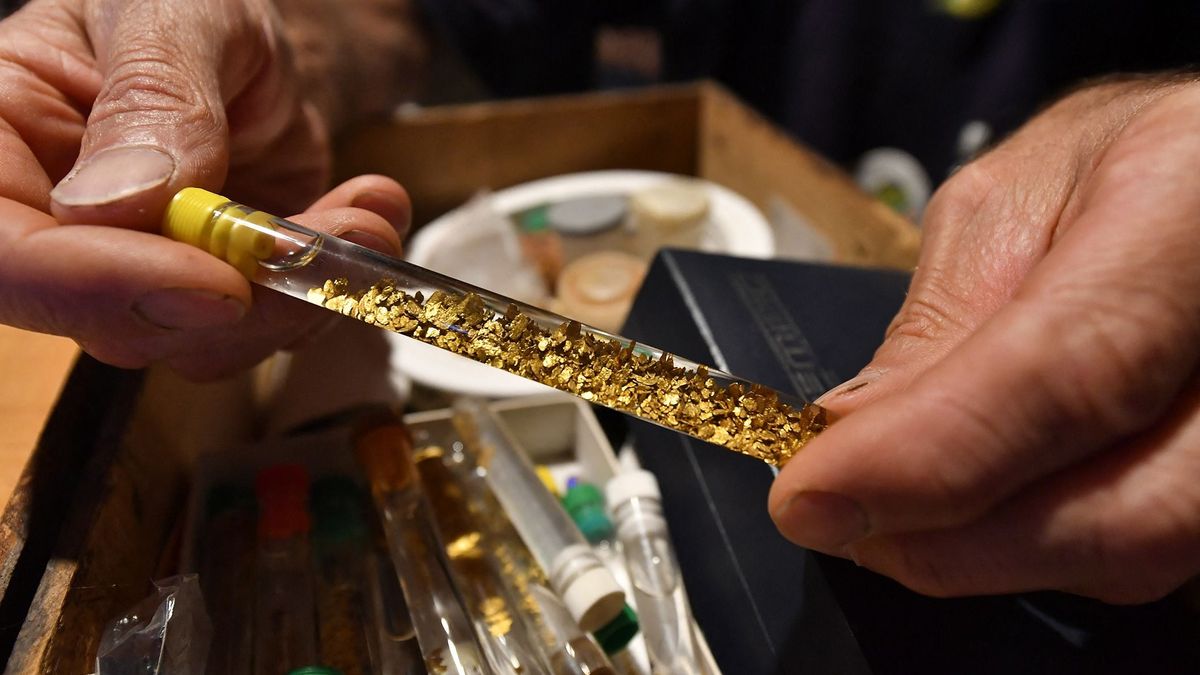 Mer nagyot álmodni: visszavásárolná Kárpátalját az aranyat bányászó börzsönyi üzletember