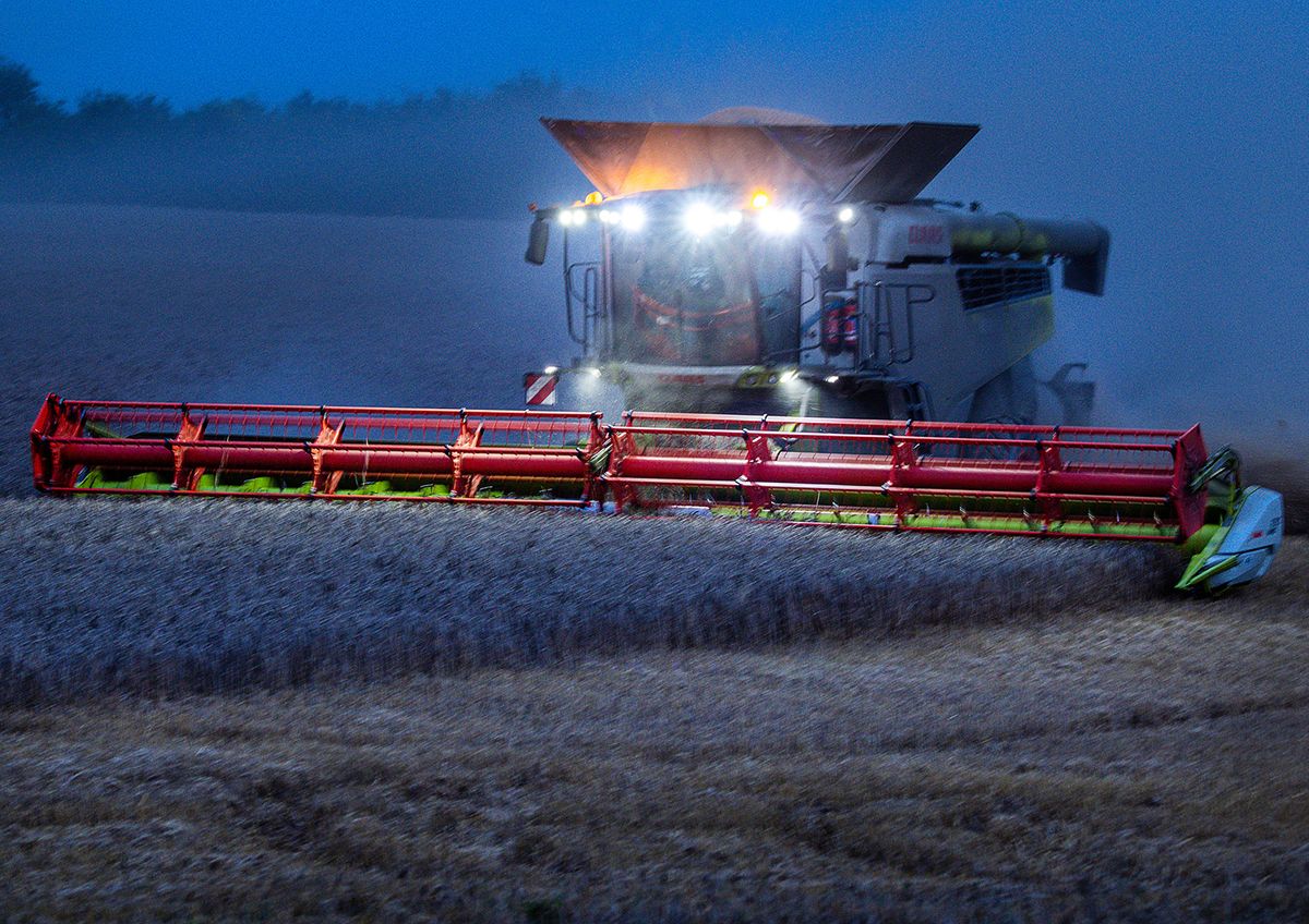 Grain harvest at night