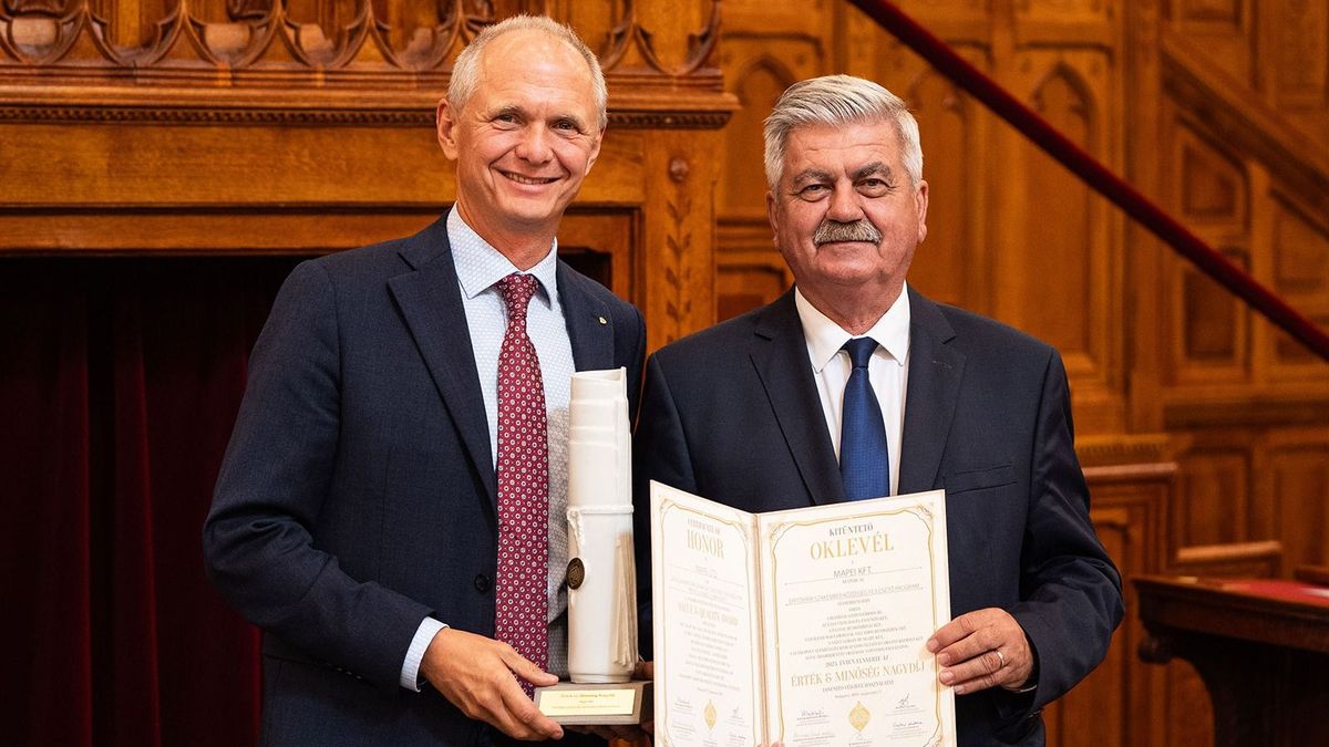 Visszaállítani a szakember szó becsületét (X)