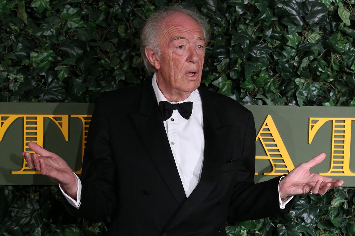 (FILES) British actor Michael Gambon poses on the red carpet as he attends the 62nd London Evening Standard Theatre Awards 2016 in London on November 13, 2016. British actor Michael Gambon, best known for playing Albus Dumbledore in six of the eight "Harry Potter" films, has died peacefully in hospital aged 82, his family announced on September 28, 2023. (Photo by Daniel LEAL / AFP)