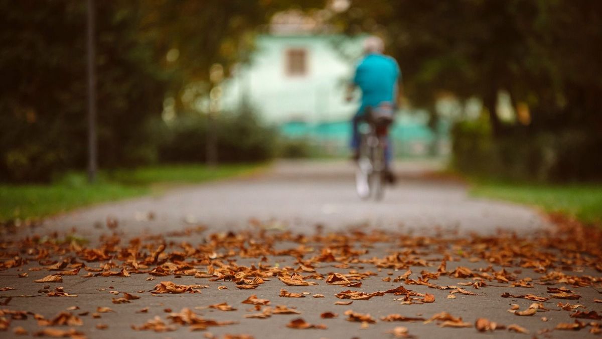 Pár napig még élvezhetjük az enyhe őszt, de hétvégén érkezik a hidegzuhany