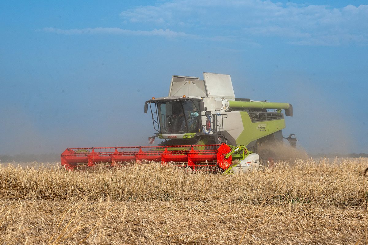 Harvesting season in Kharkiv region of Ukraine