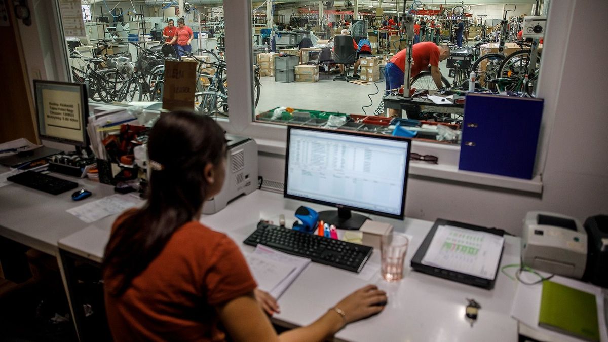 A magyar gazdaság összetettsége a legjobbak között van a világon, de ennek a megtartása a versenyképesség további fejlesztését igényli