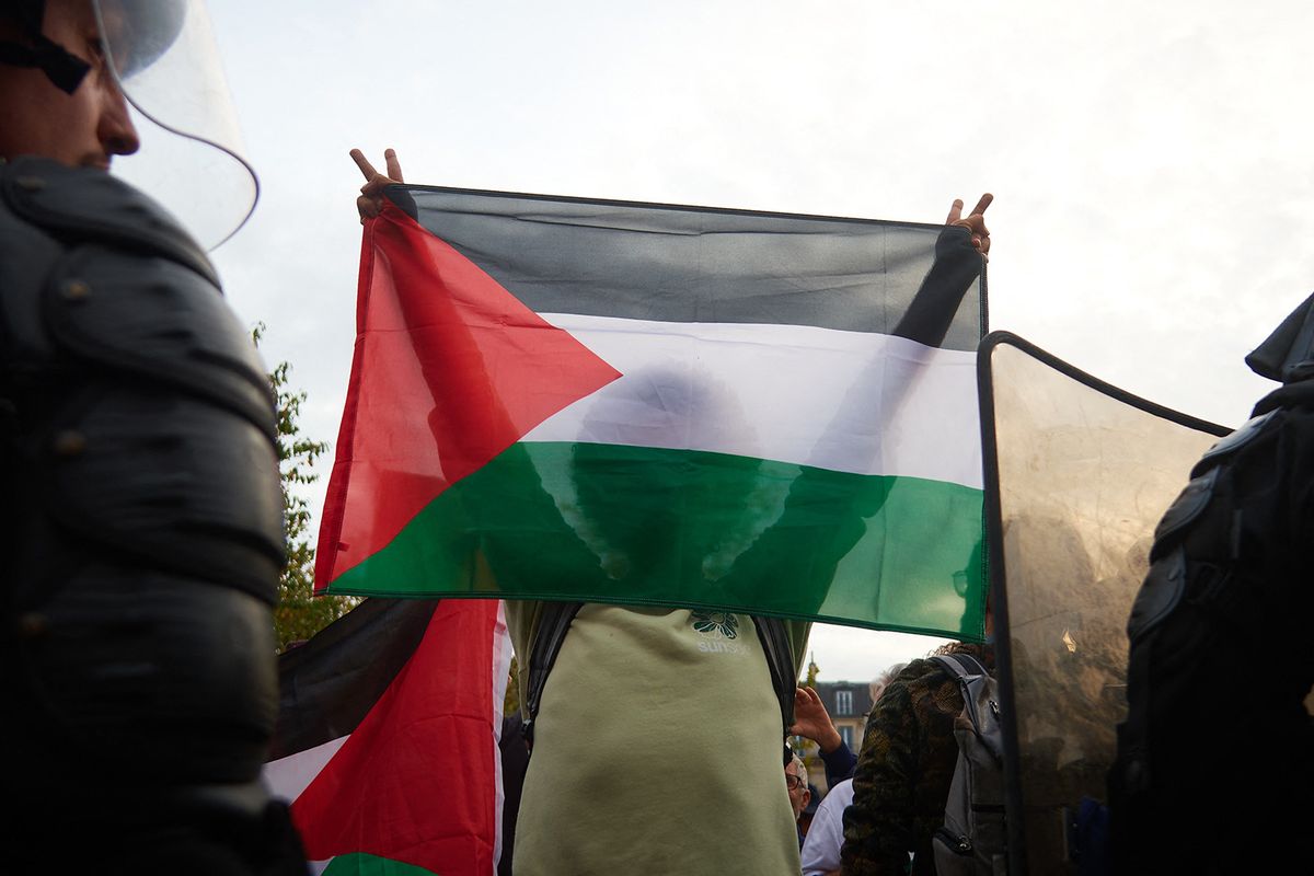 FRANCE - A PROTESTER HOLDS A PALESTINE FLAG DURING THE PROTEST IN SUPPORT OF PALESTINE