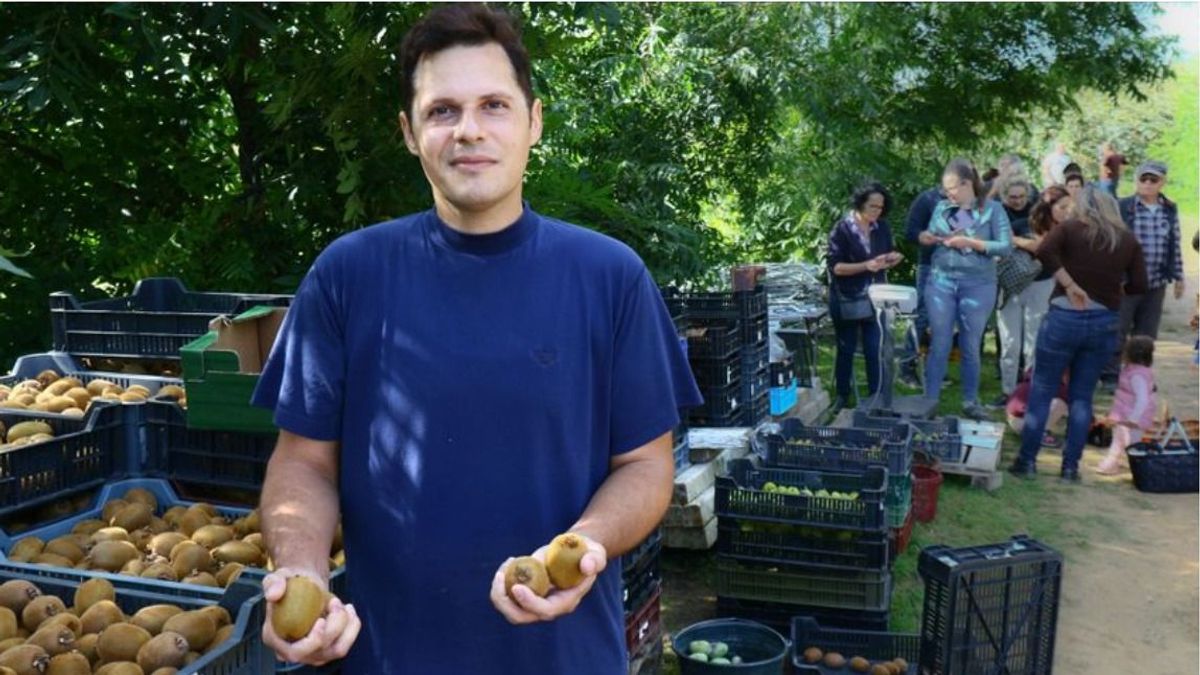 Kivit szüretelnek Zalában, és nem hinnénk, de még banánt is