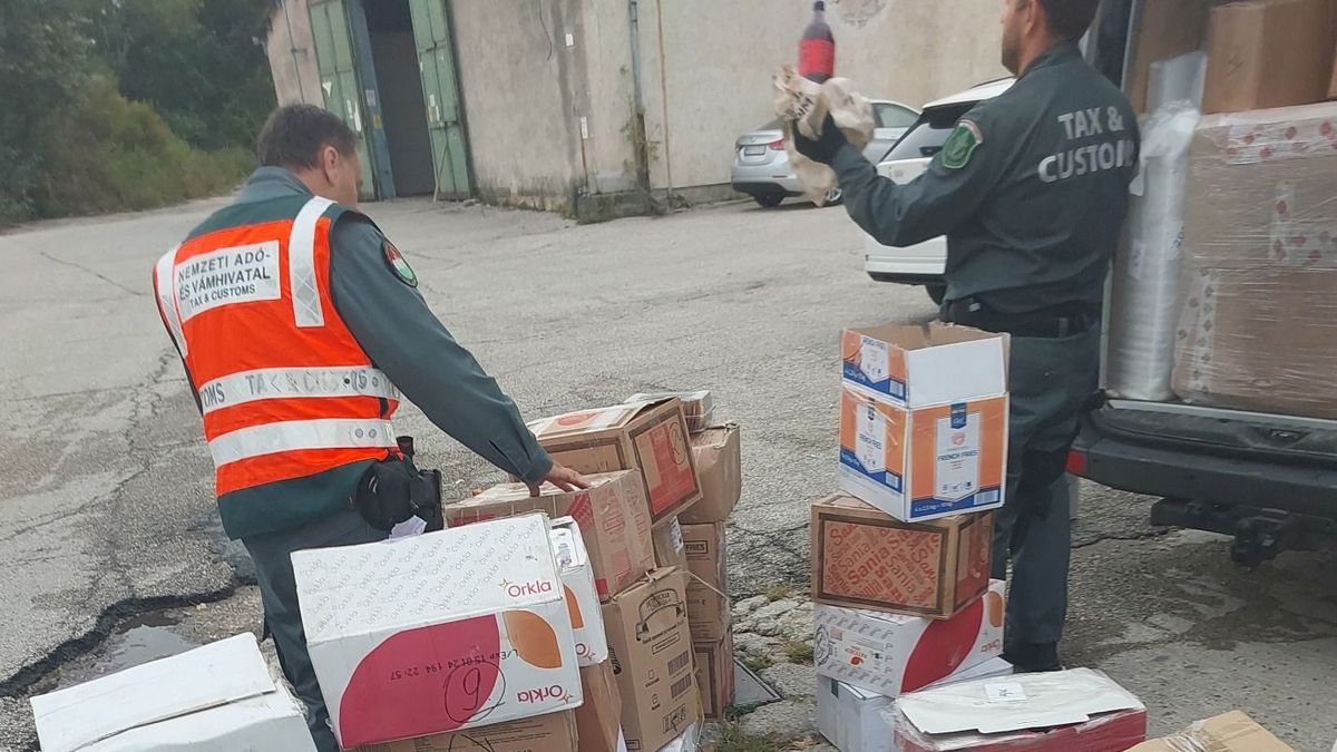 Mindenféle papír és hűtés nélkül szállított több száz kilogramm húst a román sofőr