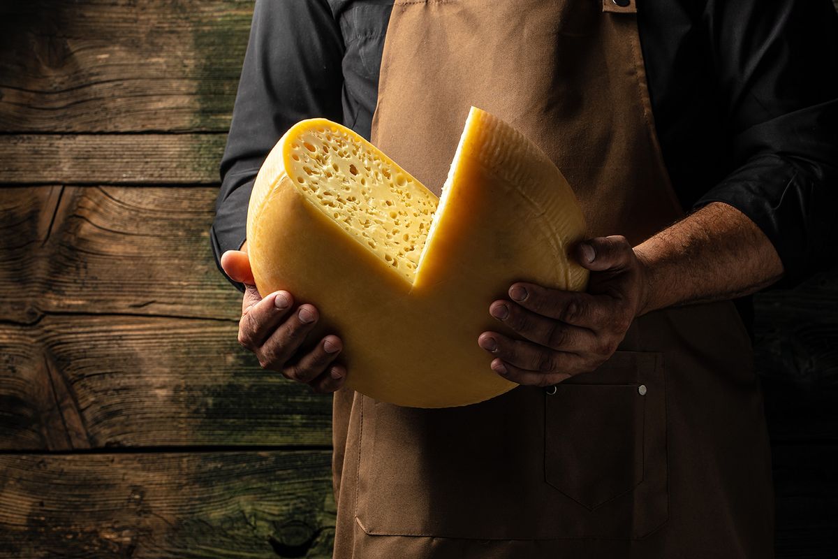 Cheesemaker,Hold,Big,Slice,Of,Cheese,Maasdam,In,Hand.,Cheesecheesemaker hold big slice of cheese maasdam in hand. Cheese with big holes. head of handcrafted hard cheese. Long banner format. top view.