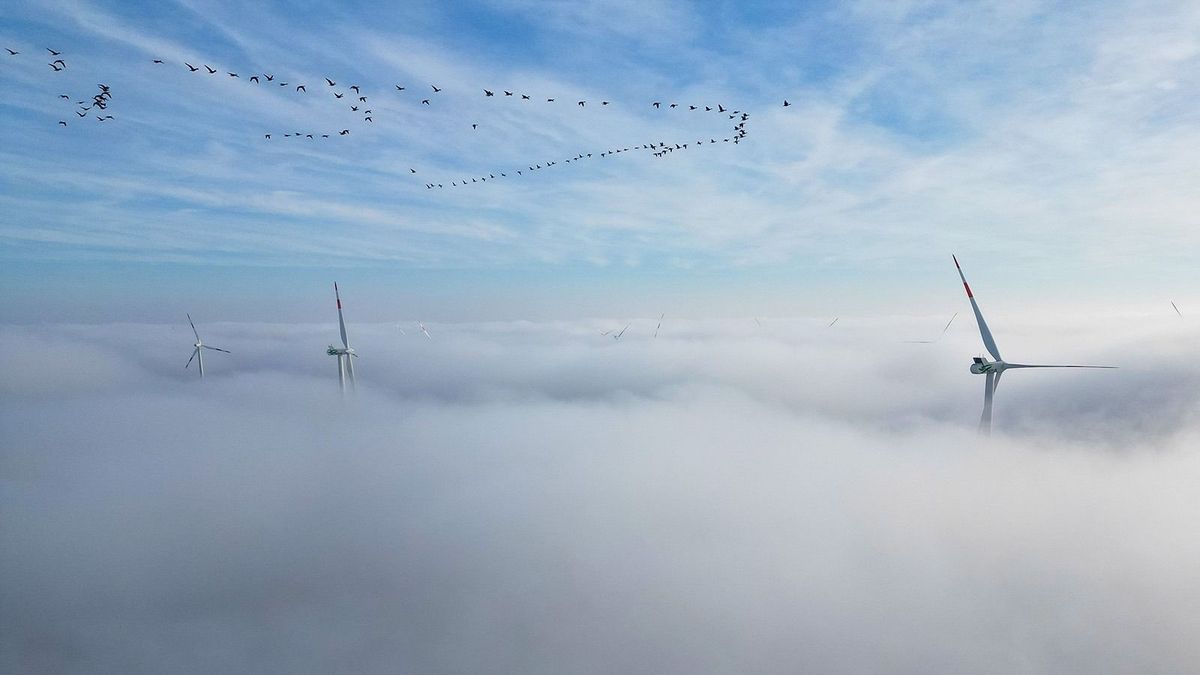 Morning fog in Saxony-Anhalt