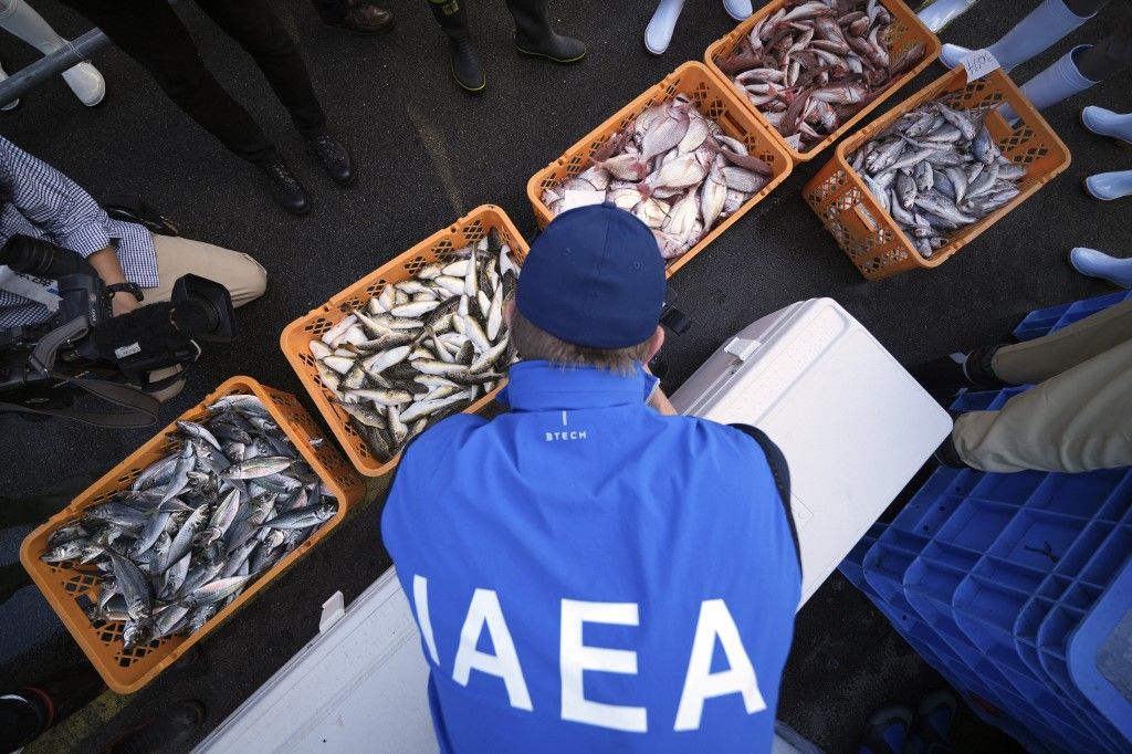 An inspector from the International Atomic Energy Agency (IAEA) observes baskets of fish to be taken as samples at Hisanohama Port in Iwaki, Japan's Fukushima Prefecture, on October 19, 2023. UN inspectors took samples from a fish market near the Fukushima nuclear power plant on October 19 following the release of wastewater from the wrecked facility in August. (Photo by Eugene Hoshiko / POOL / AFP)