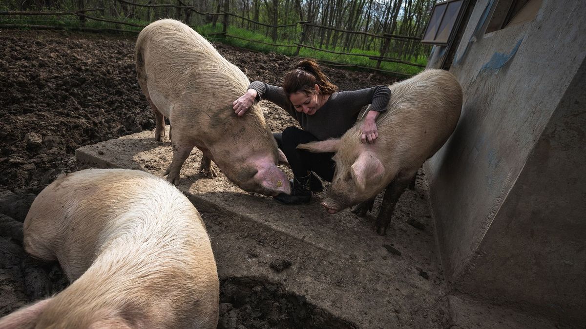 Tüntetnek a horvát gazdák - csődhullám fenyeget