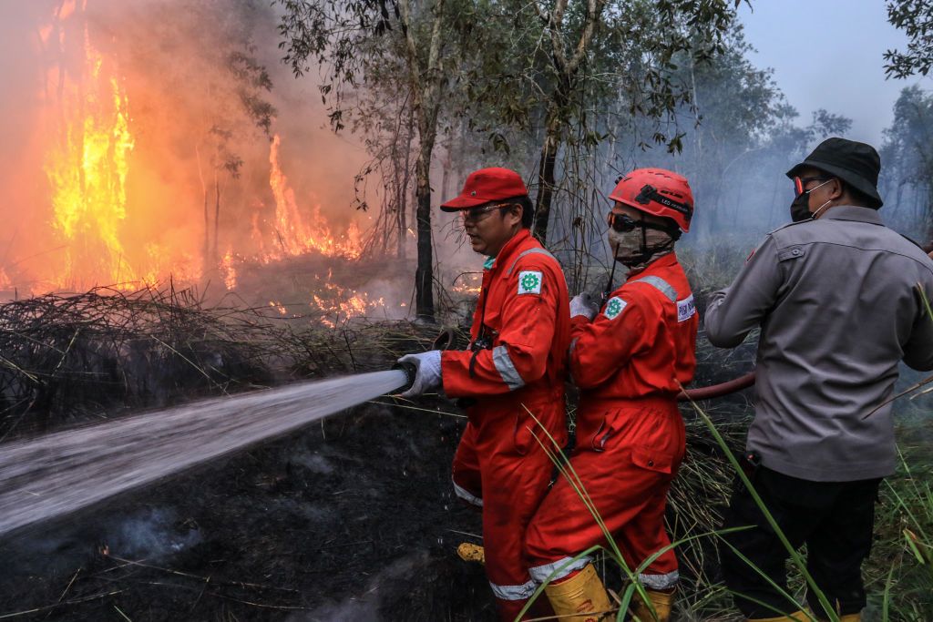 Forest Fire In South SumatraFirefighters from PT Pupuk Sriwidjaja Palembang and Indonesian police personnel from South Sumatra are extinguishing a forest fire in Pulau Semambu Village, North Inderalaya District, Ogan Ilir Regency, South Sumatra on Tuesday, October 10, 2023. (Photo by Sigit Prasetya/NurPhoto via Getty Images)