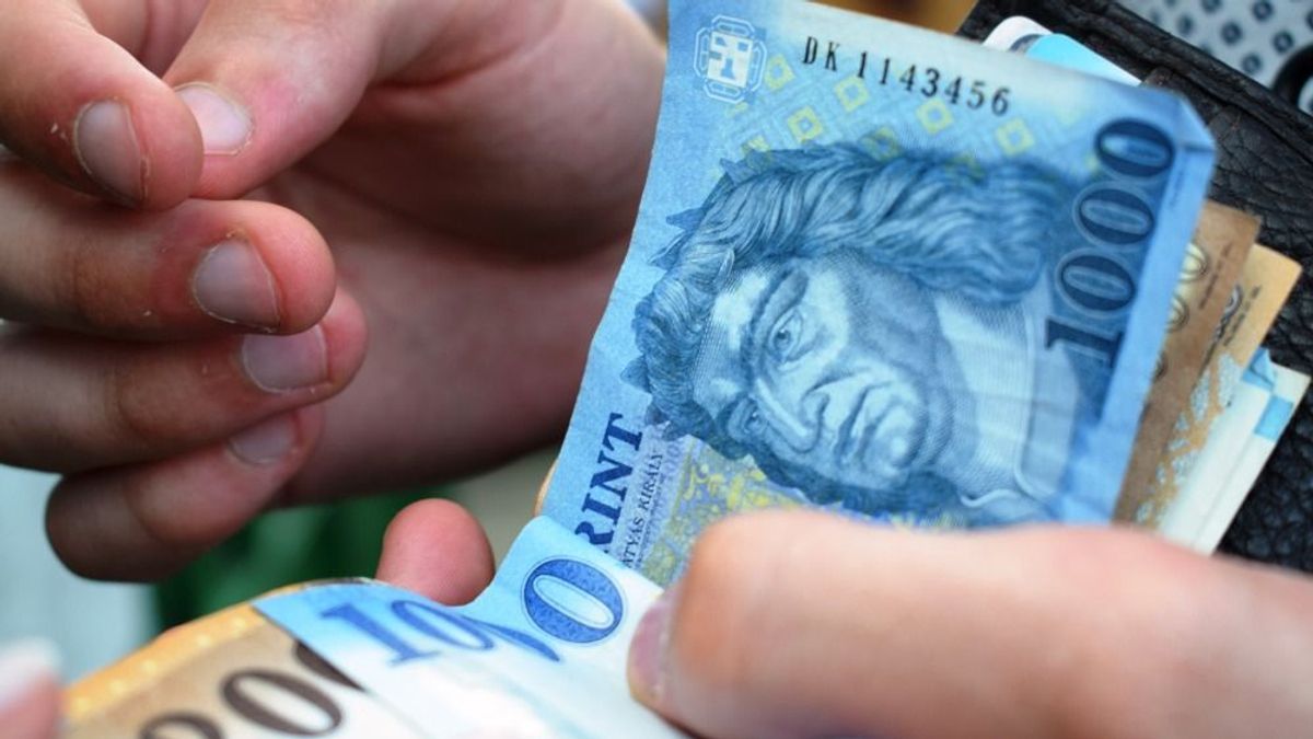 Tévedésből kapott tízmilliós segélyt, elköltötte az összes pénzt egy battonyai nő