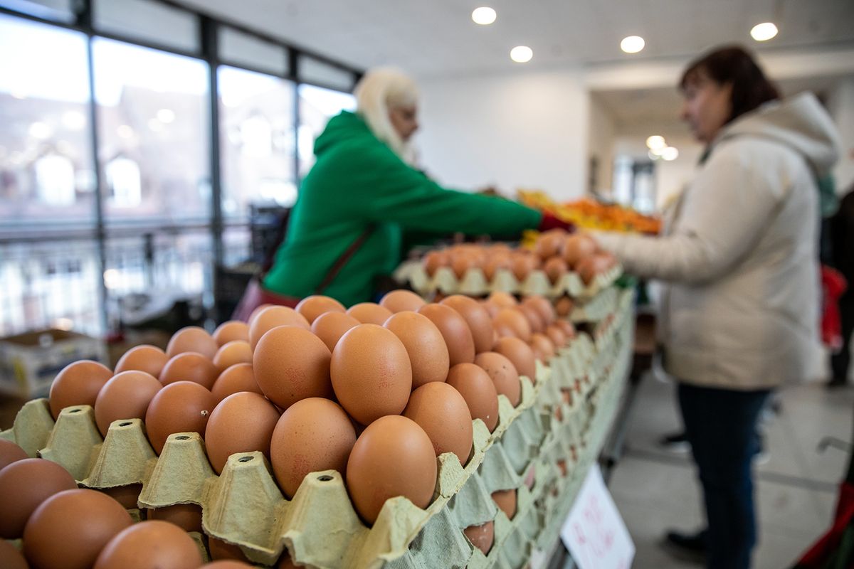 tojás, bolt, market, piac, vásárlás, élelmiszer, alapanyag, tyúk, ól, tojni, 