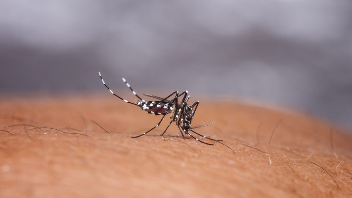 Veszélyben az egészségügy rendszer: Európa-szerte csonttörő lázra kell felkészülni