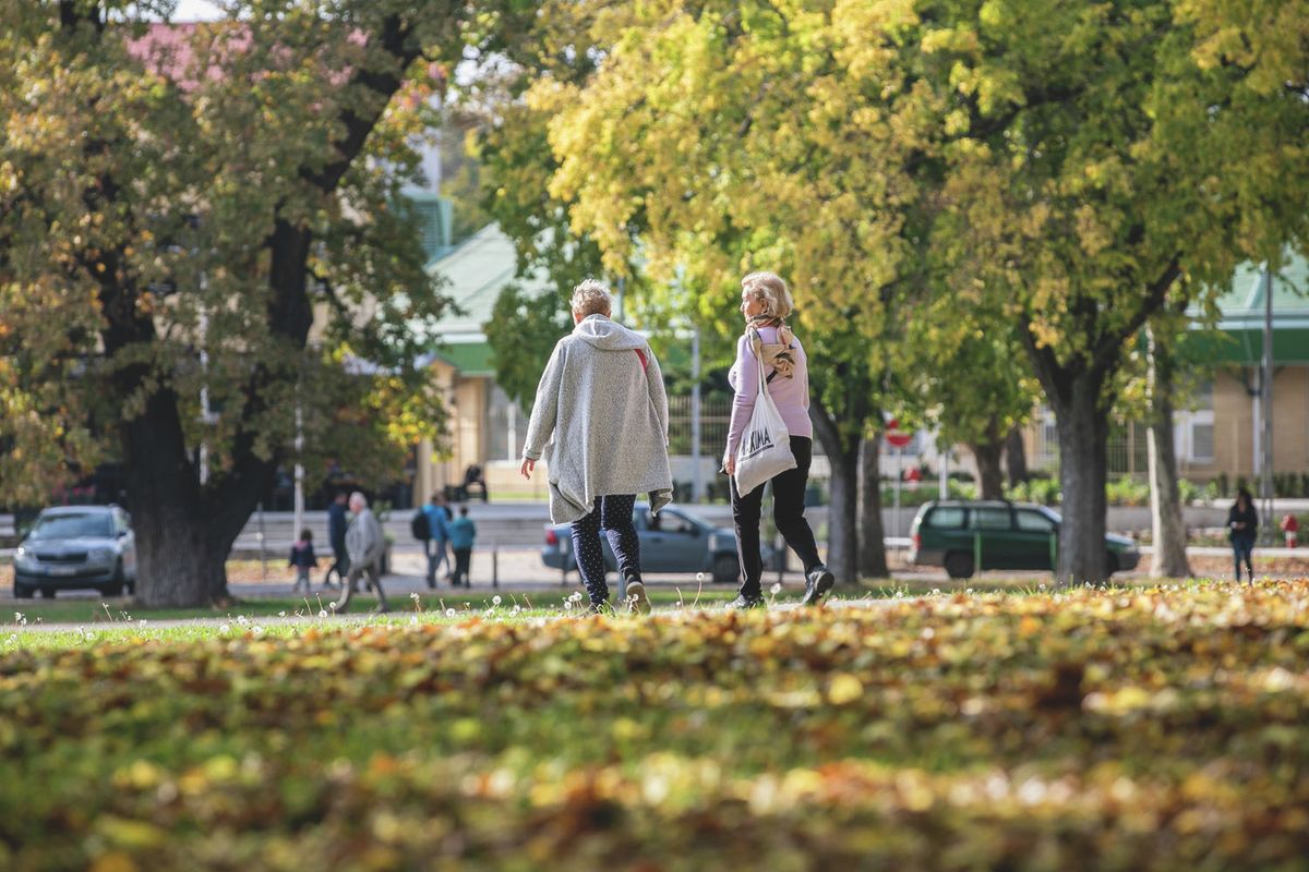 20221015 DebrecenŐsz illusztráció.Fotó: Czinege Melinda CZM Hajdú-Bihari Napló20221015 Debrecen
Ősz illusztráció.
Fotó: Czinege Melinda CZM 
Hajdú-Bihari Napló