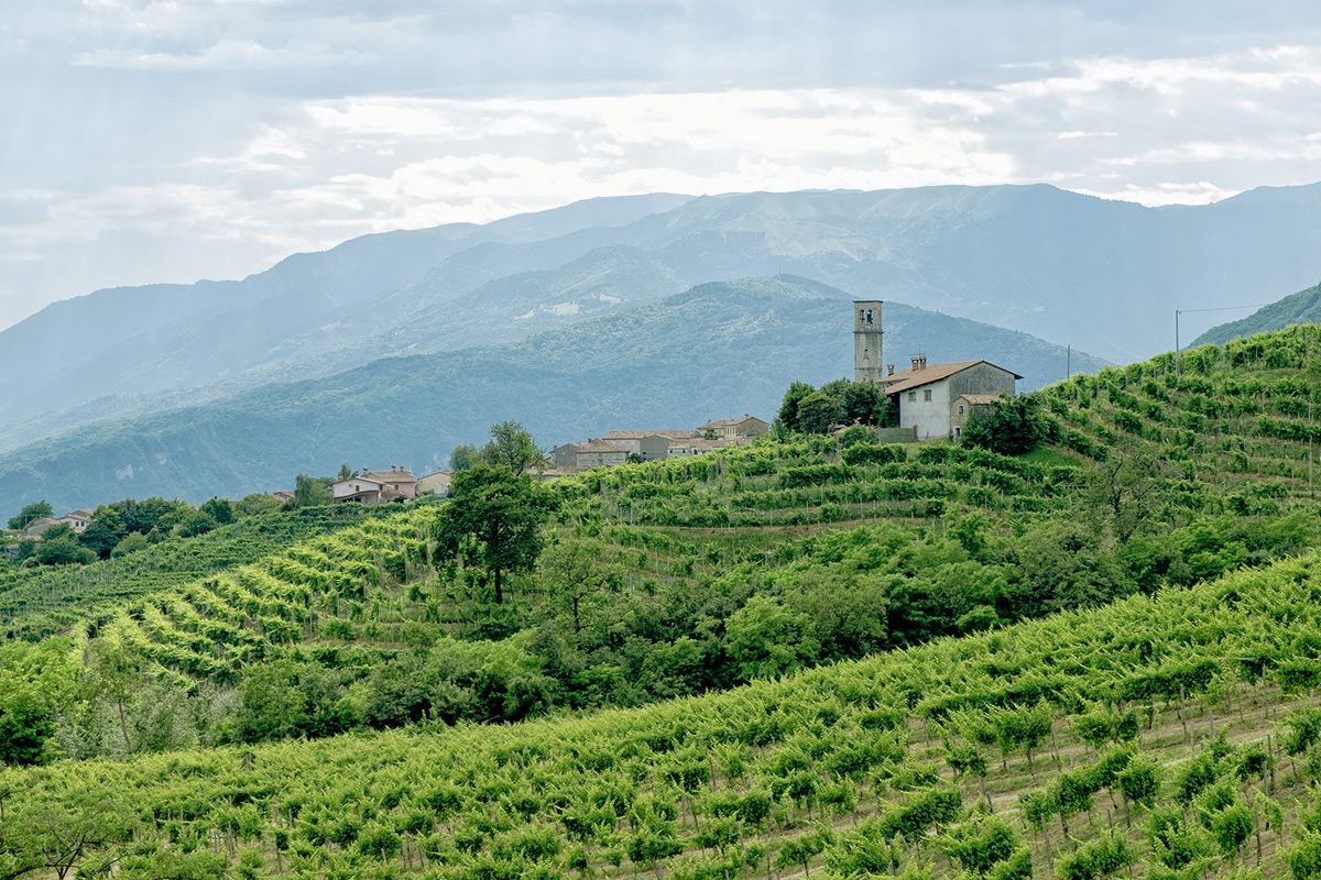 Panorama of Santo Stefano Valdobbiadene (TV) land Prosecco and Cartizze DOCG vineyards in summer (Photo by Marco Serena/NurPhoto) (Photo by Marco Serena / NurPhoto / NurPhoto via AFP)