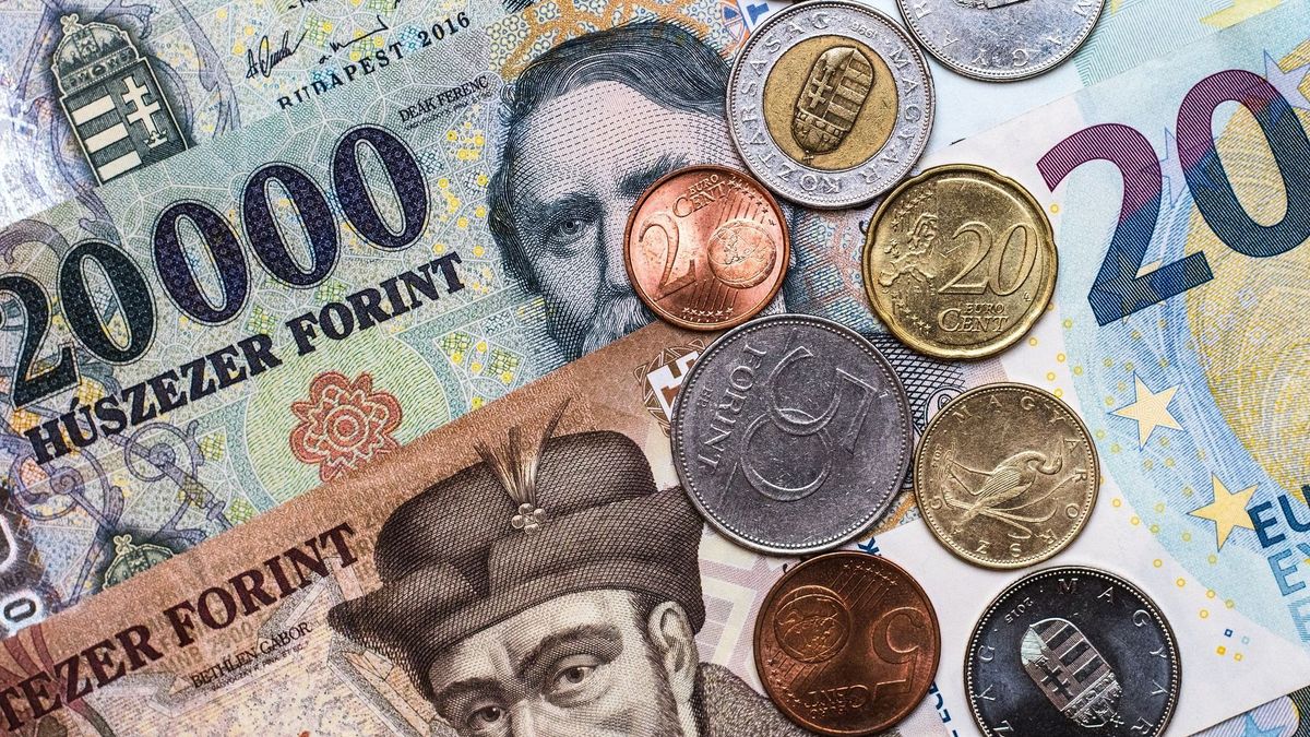 forint, euro, mnb, pénz, money, banknote