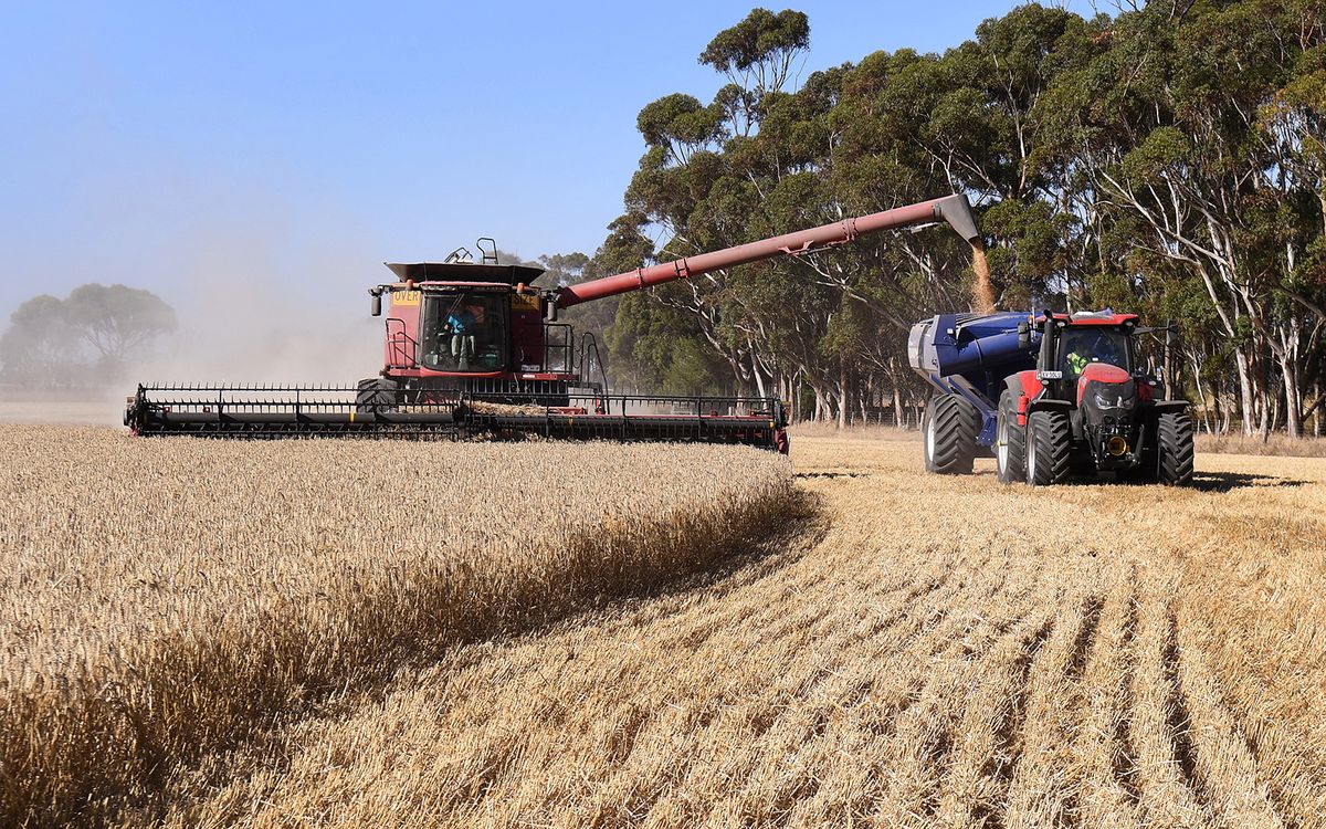 A photo taken on January 12, 2021 shows a field of wheat being harvested on a farm near Inverleigh, some 100kms west of Melbourne. (Photo by William WEST / AFP)