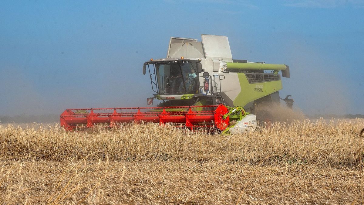 Megállapodott az ukrán gabonával kapcsolatban Varsó és Kijev