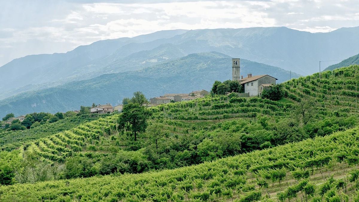 Szűkül és átalakul az európai borpiac – Franciaország az olaszok elé vág