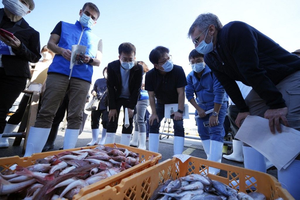 A team of experts from the International Atomic Energy Agency (IAEA) with scientists from China, South Korea and Canada observe observes baskets of fish to be taken as samples at Hisanohama Port in Iwaki, Japan's Fukushima Prefecture, on October 19, 2023. UN inspectors took samples from a fish market near the Fukushima nuclear power plant on October 19 following the release of wastewater from the wrecked facility in August. (Photo by Eugene Hoshiko / POOL / AFP)