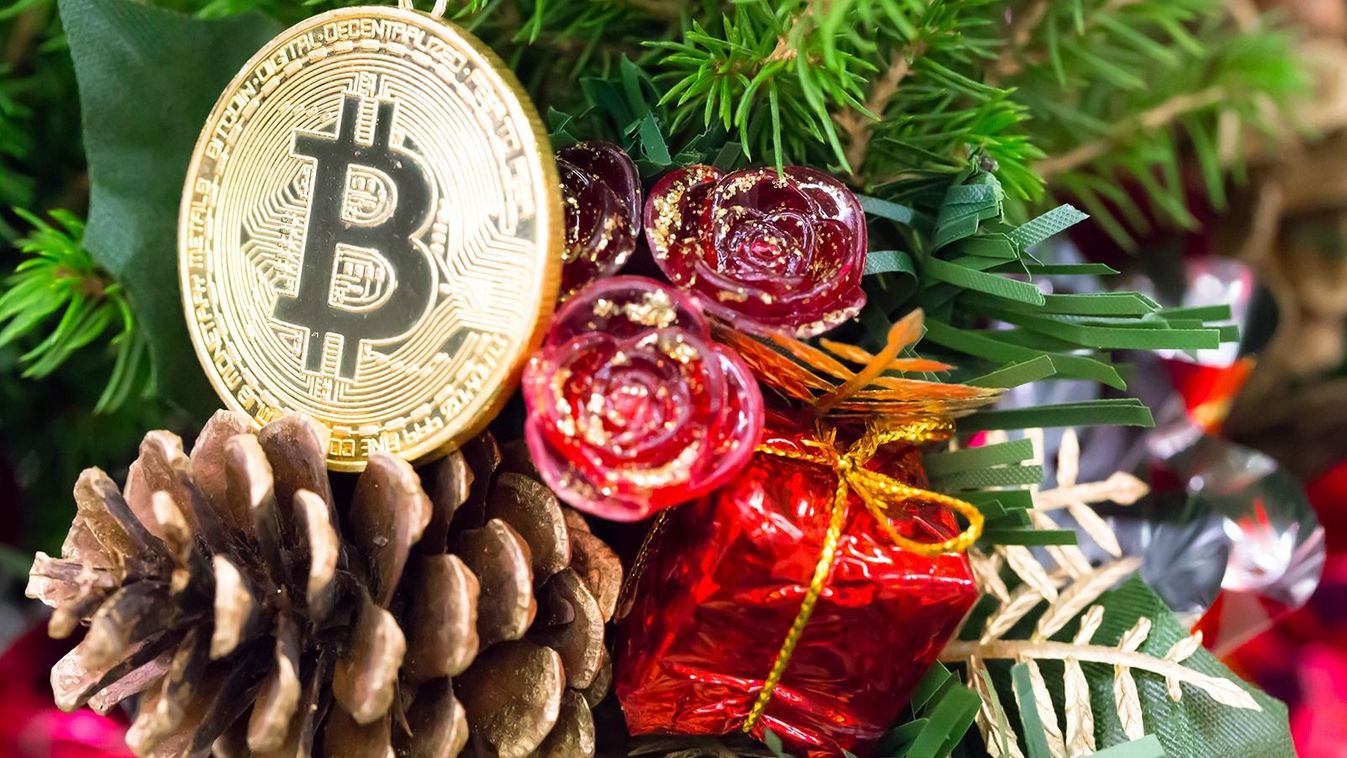 Fir-cone,,Gift,Box,,Red,Glass,Flower,,Bitcoin,Virtual,Crypto,Currency