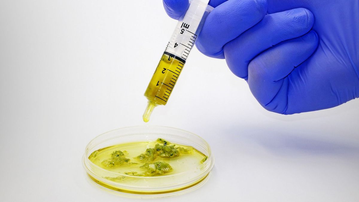 Betiltják Olaszországban a műhúst