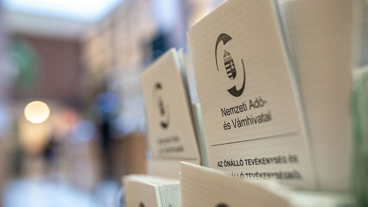 Itt a 9-es a NAV-tól: ne ijedjen meg, ha ezzel kezdődik egy adószám
