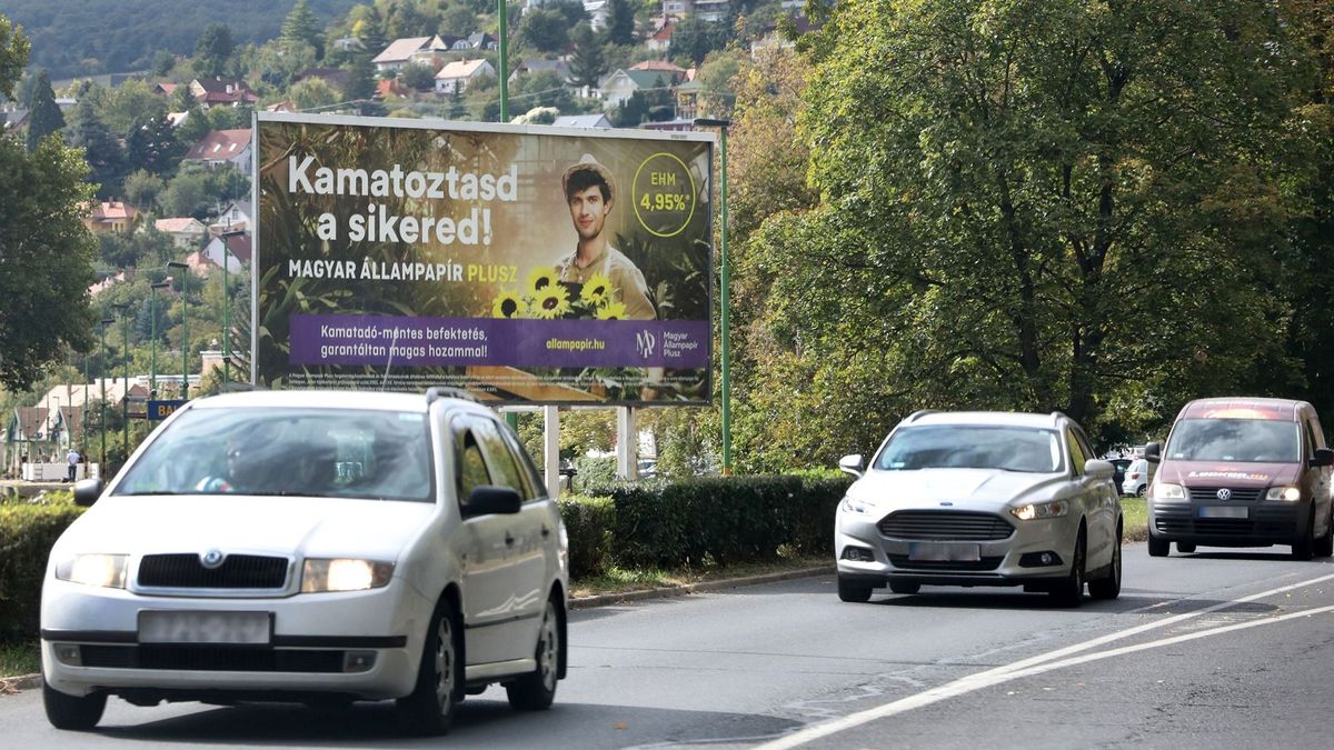 Próba, szerencse: útmutató a befektetési lehetőségek dzsungelében