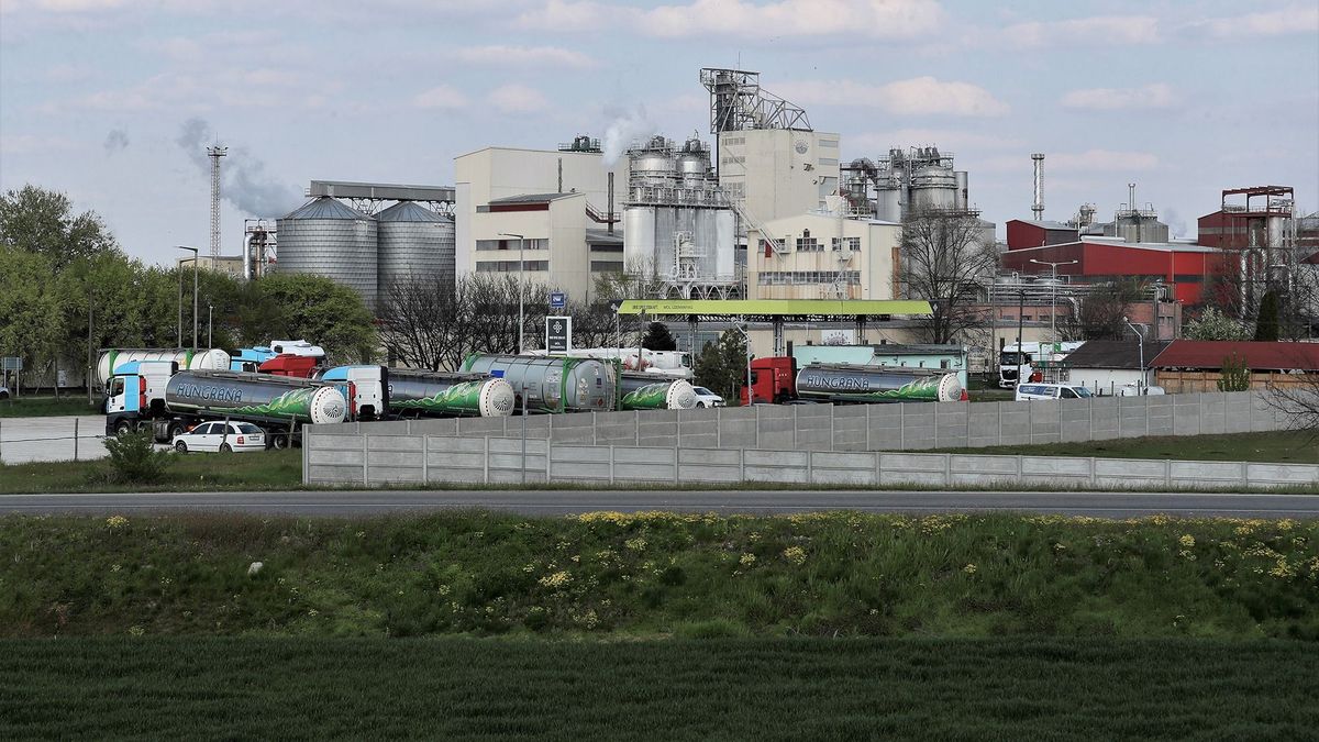 Hungrana: a magyar gazdáknak és feldolgozóknak is lesz még egy nehéz évük