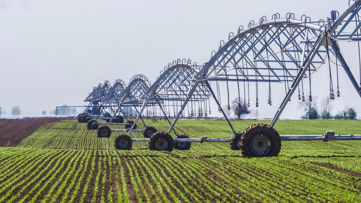 Két tucat agrártárgyú törvényt módosítanak a parlamentben