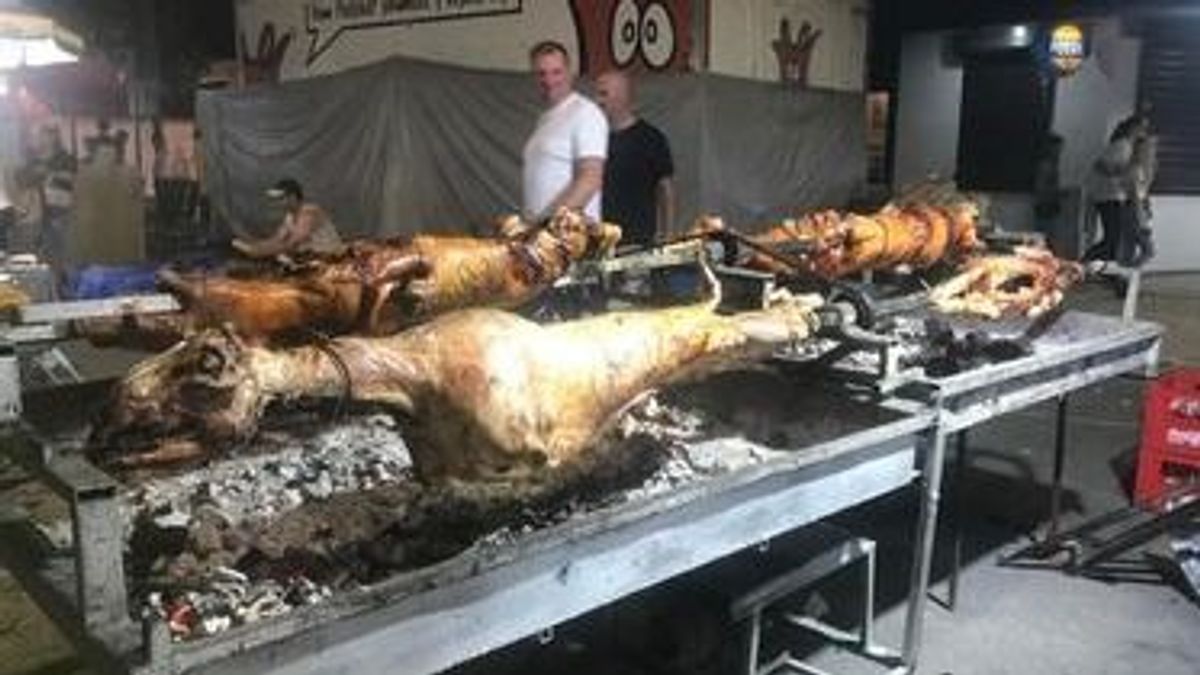 A Fradi a Balkán grillfővárosában játszik, ahol őket nem ismerik, de Orbánt igen – Leskovac galéria